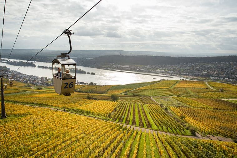 /Assets/Desktop/CruiseGallery/Thumb/enchantingrhine_rudesheim_gallery.jpg