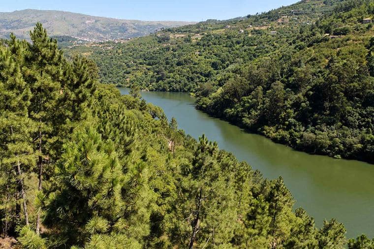 /Assets/Desktop/CruiseGallery/Thumb/flavorsportugalspain_caldasdearegos_shutterstock_85423627_gallery.jpg