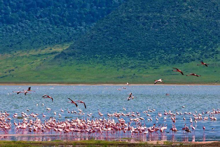 /Assets/Desktop/CruiseGallery/Thumb/goldentrails_Ngorongorocrater_shutterstock_212602987_gallery.jpg
