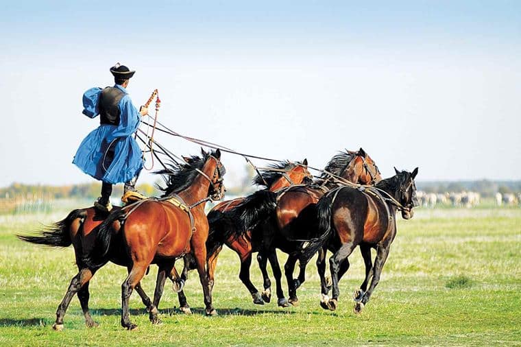 /Assets/Desktop/CruiseGallery/Thumb/granddanube_Pusztahorses_UG2_48705_gallery.jpg