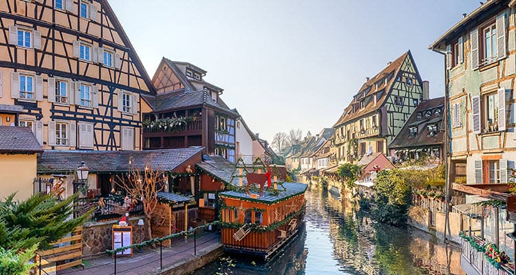 Captivating Rhine (Festive Delights)