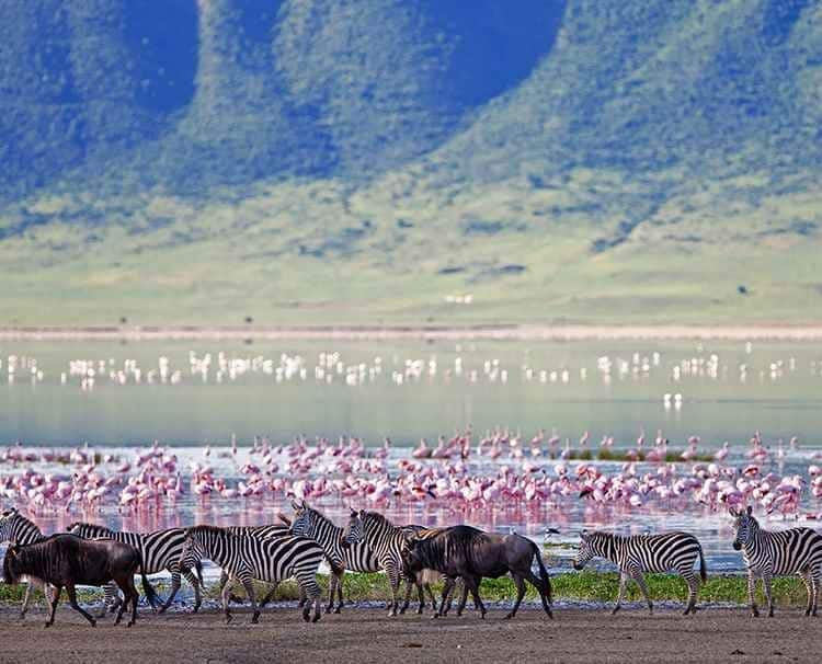 golden-trails-of-africa