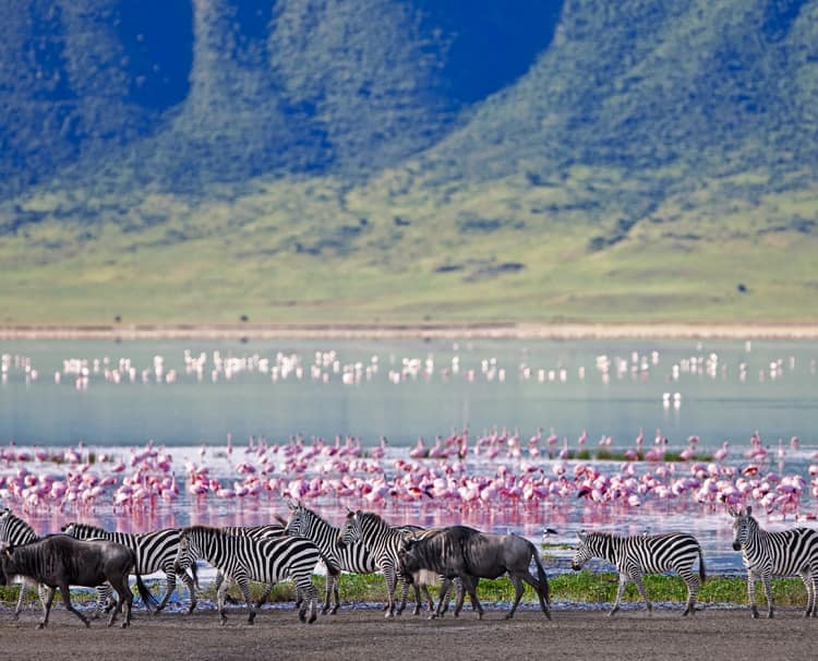 Ngorongoro-Conservation-Area
