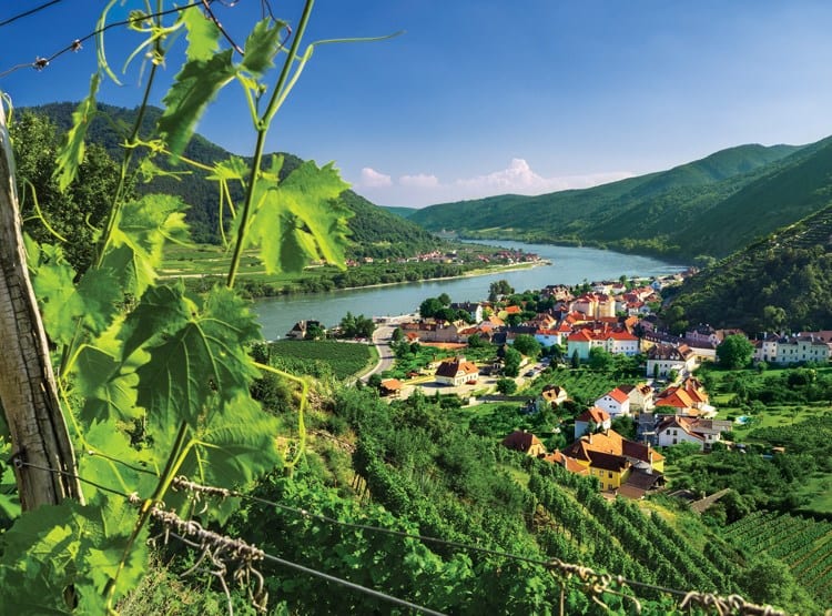 Solo Travelers Special AmaWaterways™